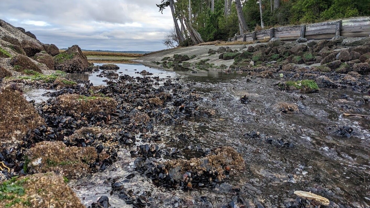 Photo of Others in Burley