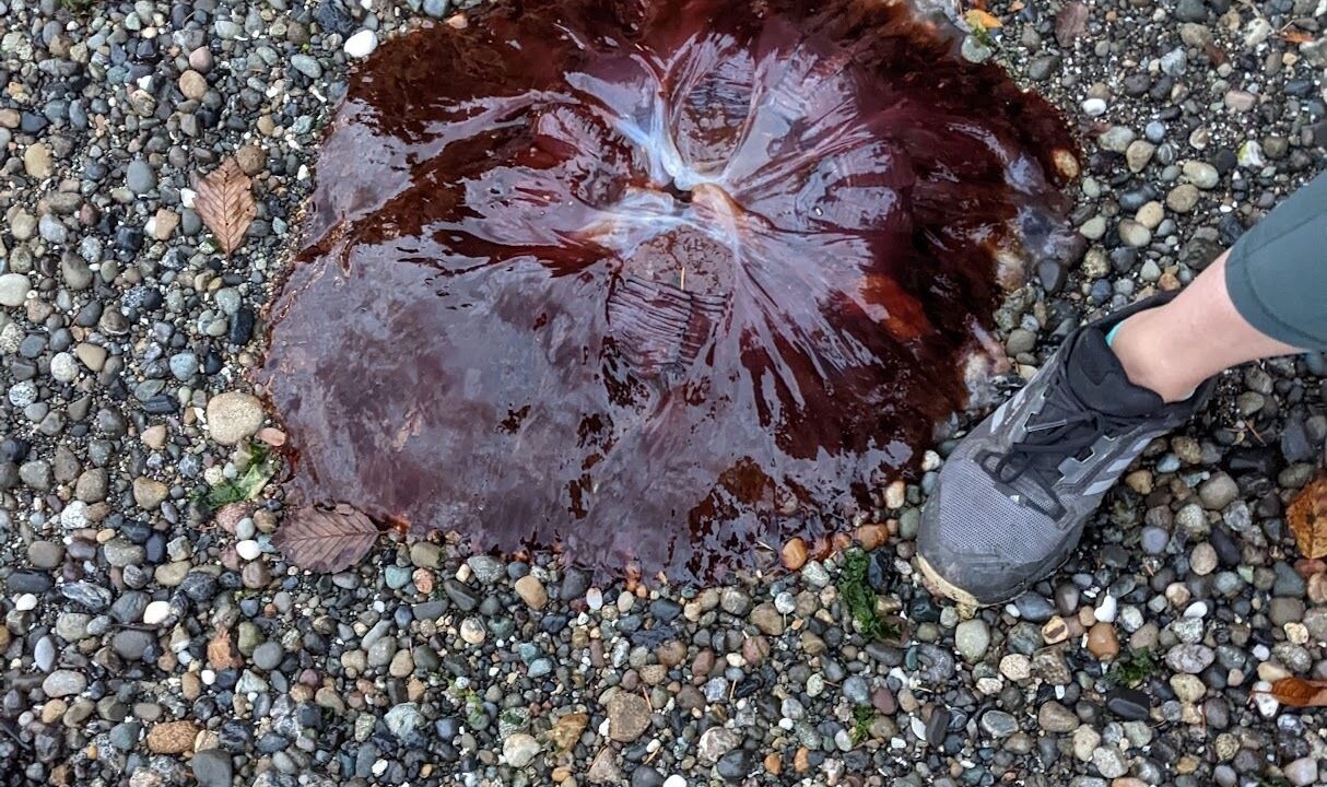 Photo of Others in Burley