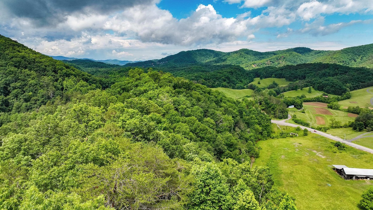 Photo of Outdoor in Caton