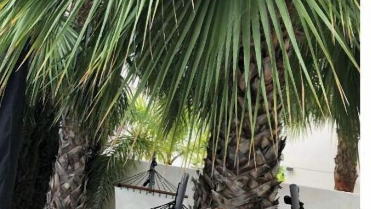 Photo of Outdoor in San Fulgencio