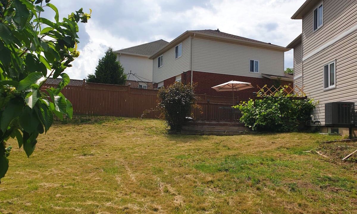 Photo of Outdoor in Highland West