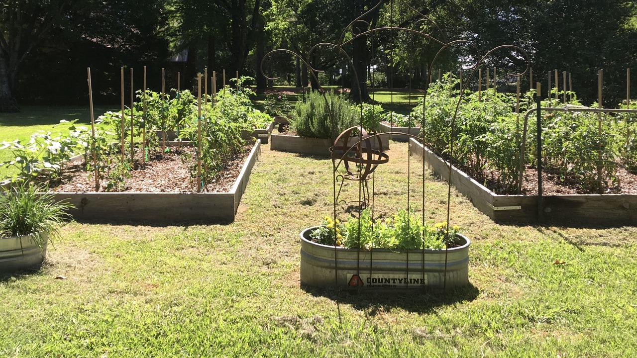 Photo of Outdoor in Madison