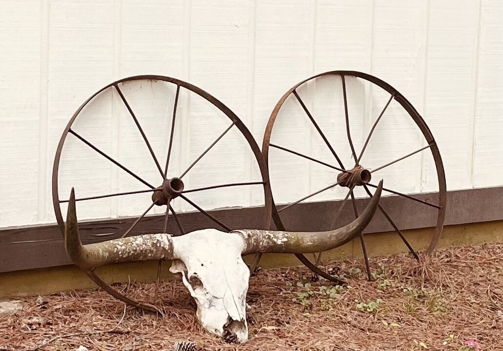 Photo of Outdoor in Madison