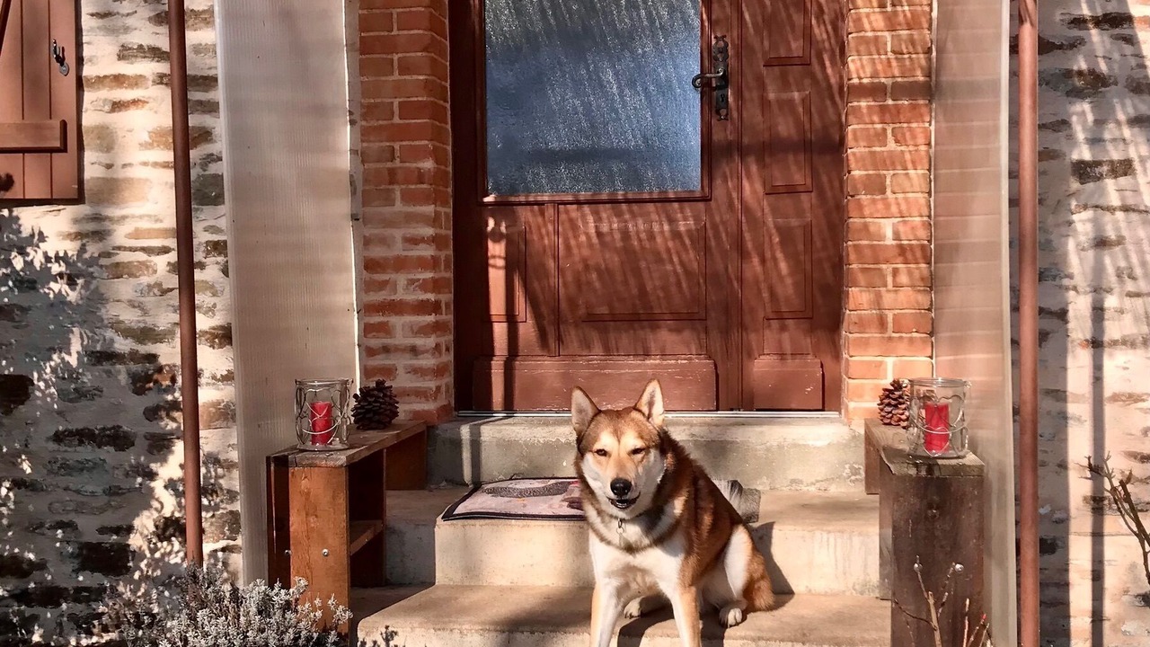 Photo of Others in Jumilhac-le-Grand