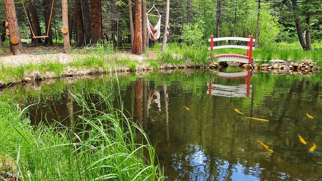 Photo of Outdoor in Idaho Springs