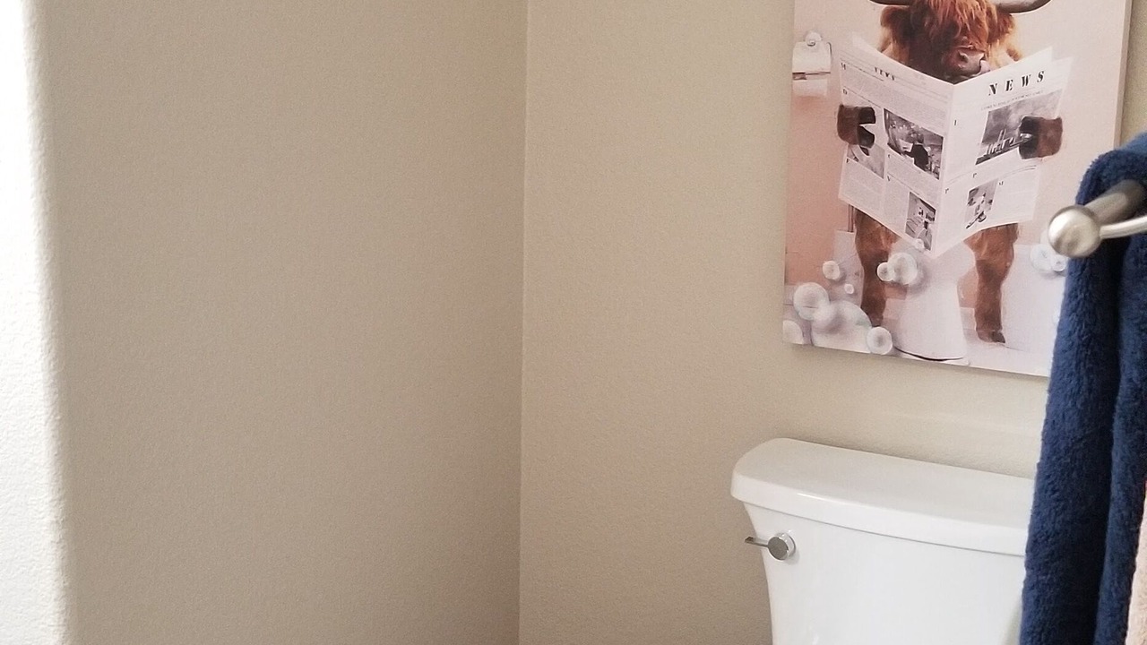 Photo of Bathroom in Jonestown