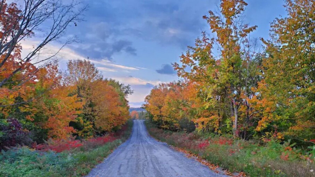 Photo of Outdoor in Tyendinaga