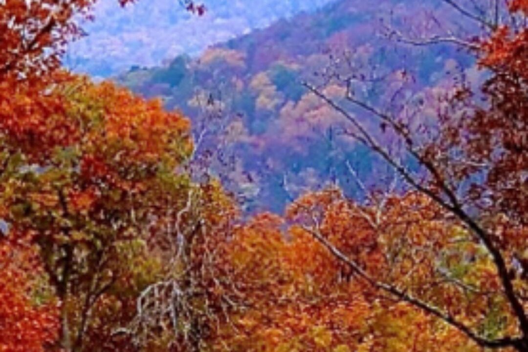 Photo of Others in Steelville
