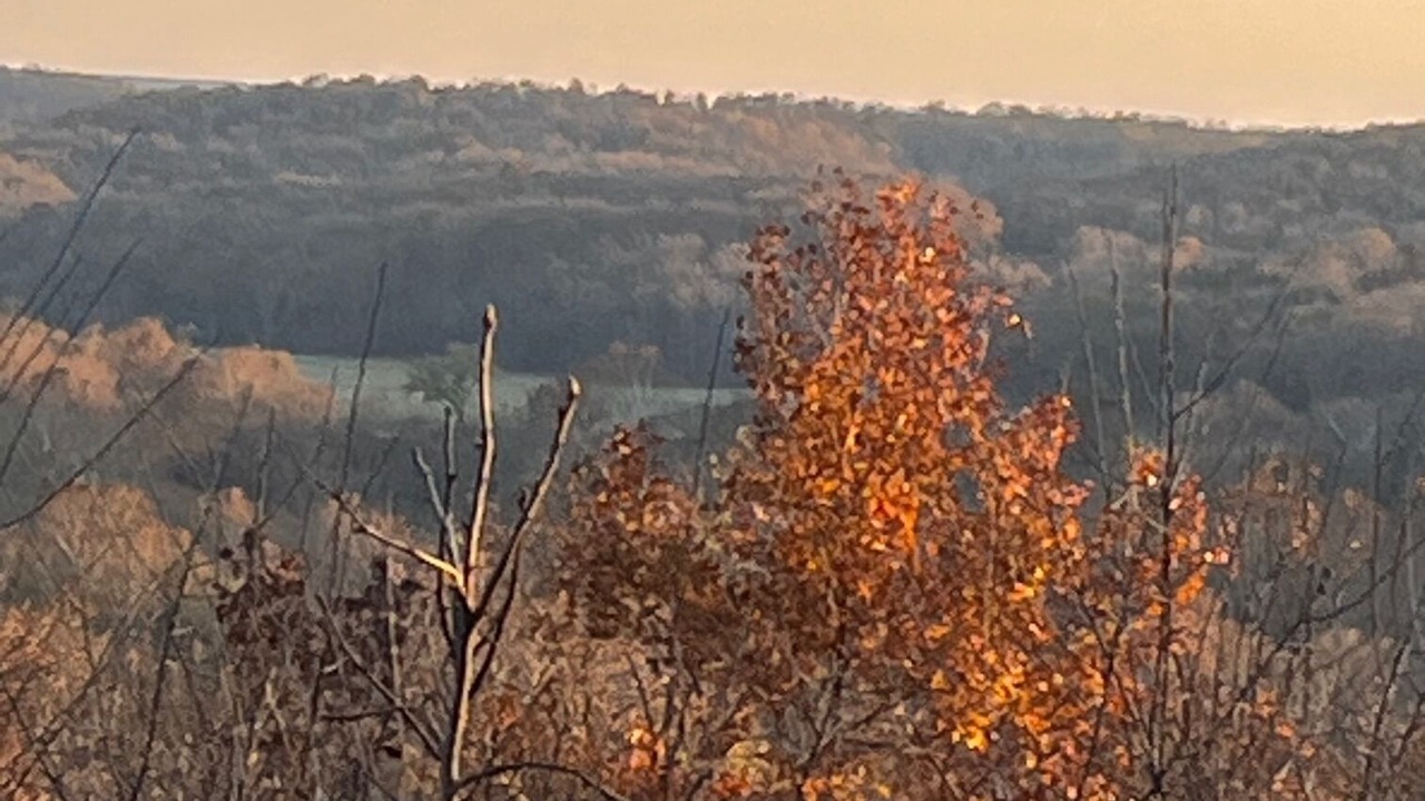 Photo of Others in Steelville