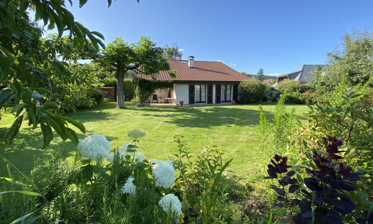 Photo of Outdoor in Bole