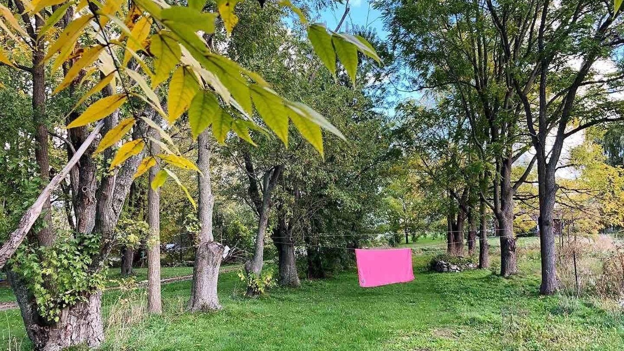 Photo of Outdoor in Adolphustown