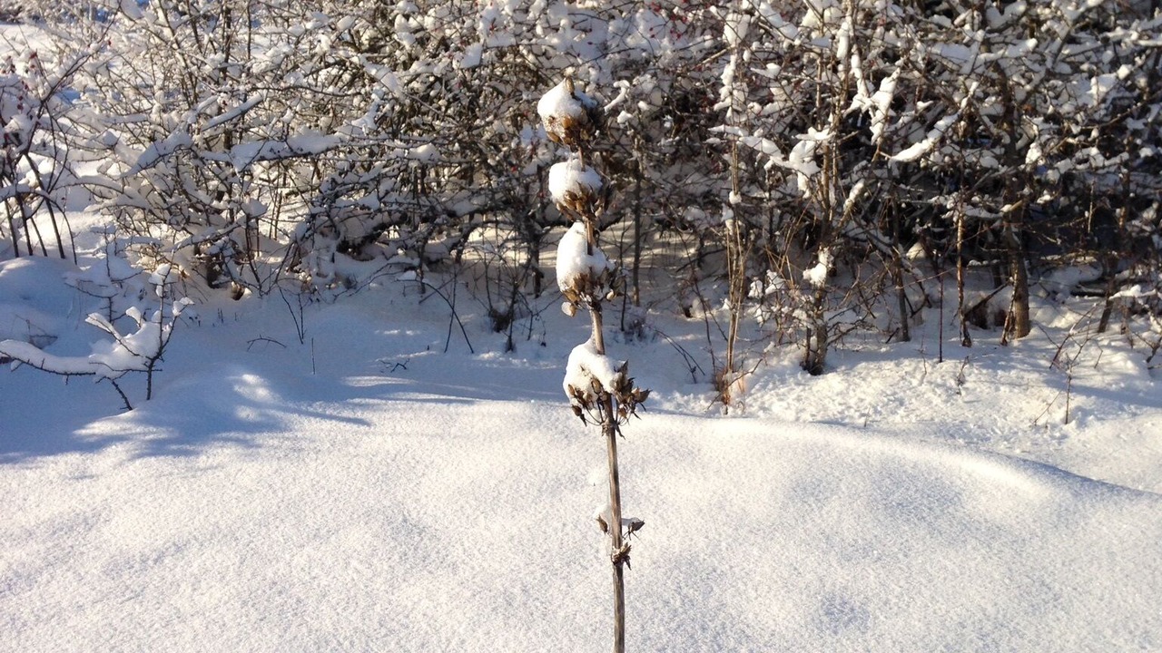 Photo of Others in Mazire