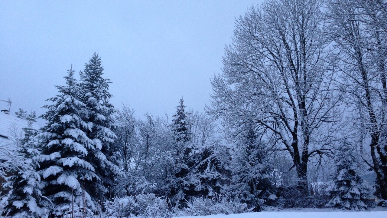 Photo of Outdoor in Mazire