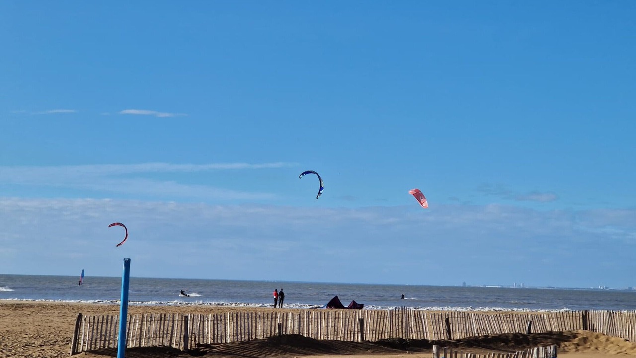 Photo of Others in Port District