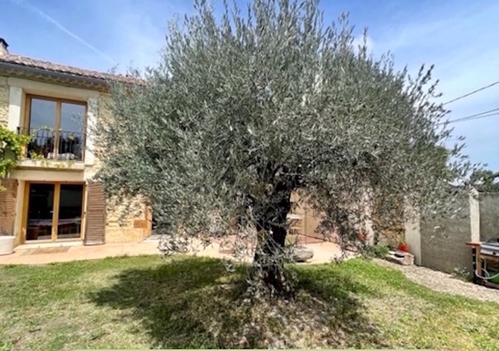Photo of Outdoor in Piolenc