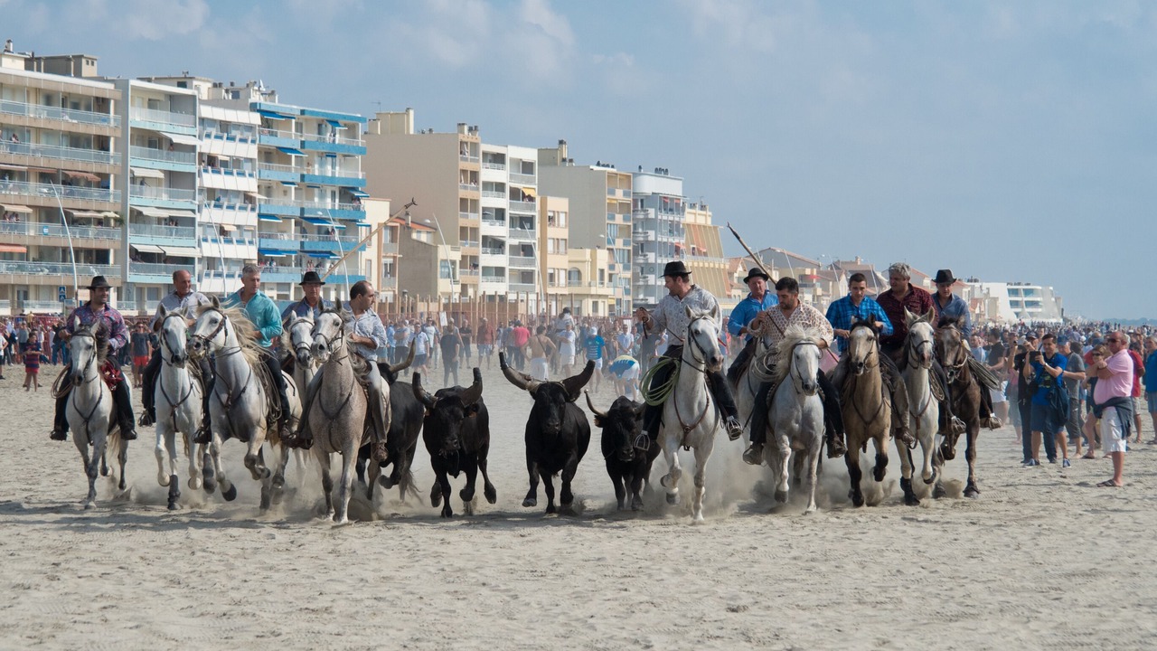 Photo of Others in Palavas-les-Flots