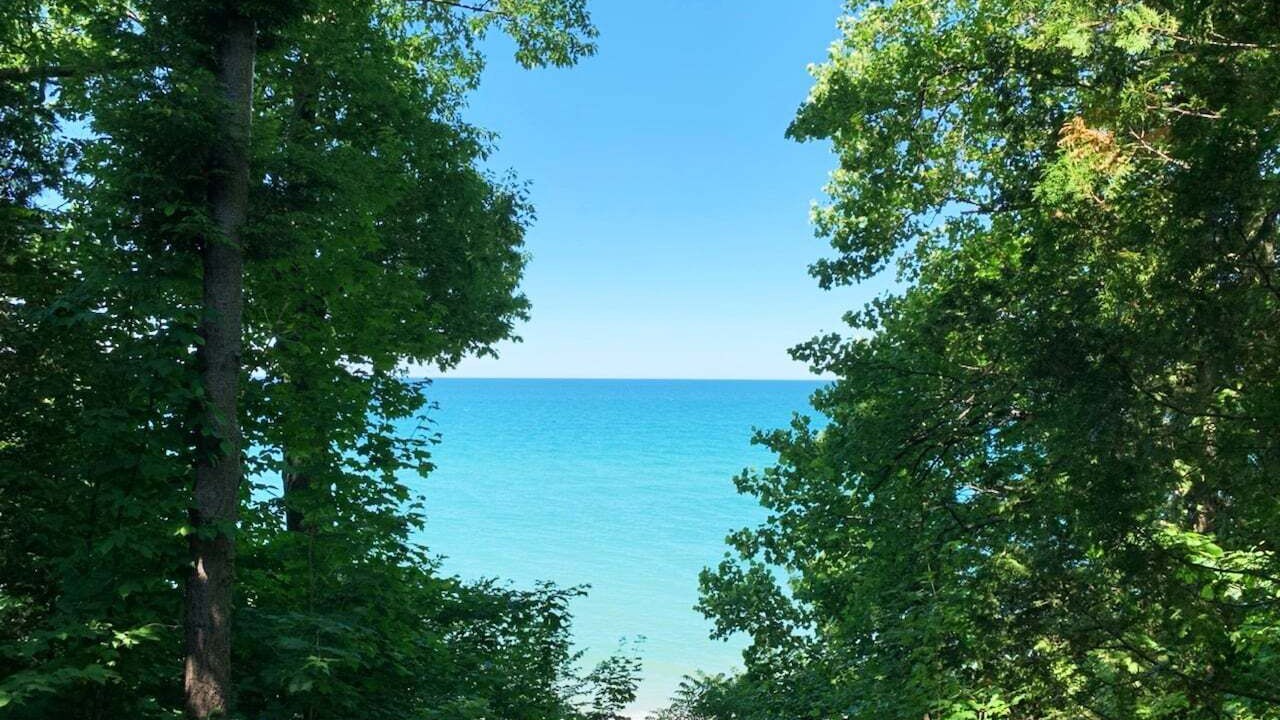 Photo of Outdoor in Fennville