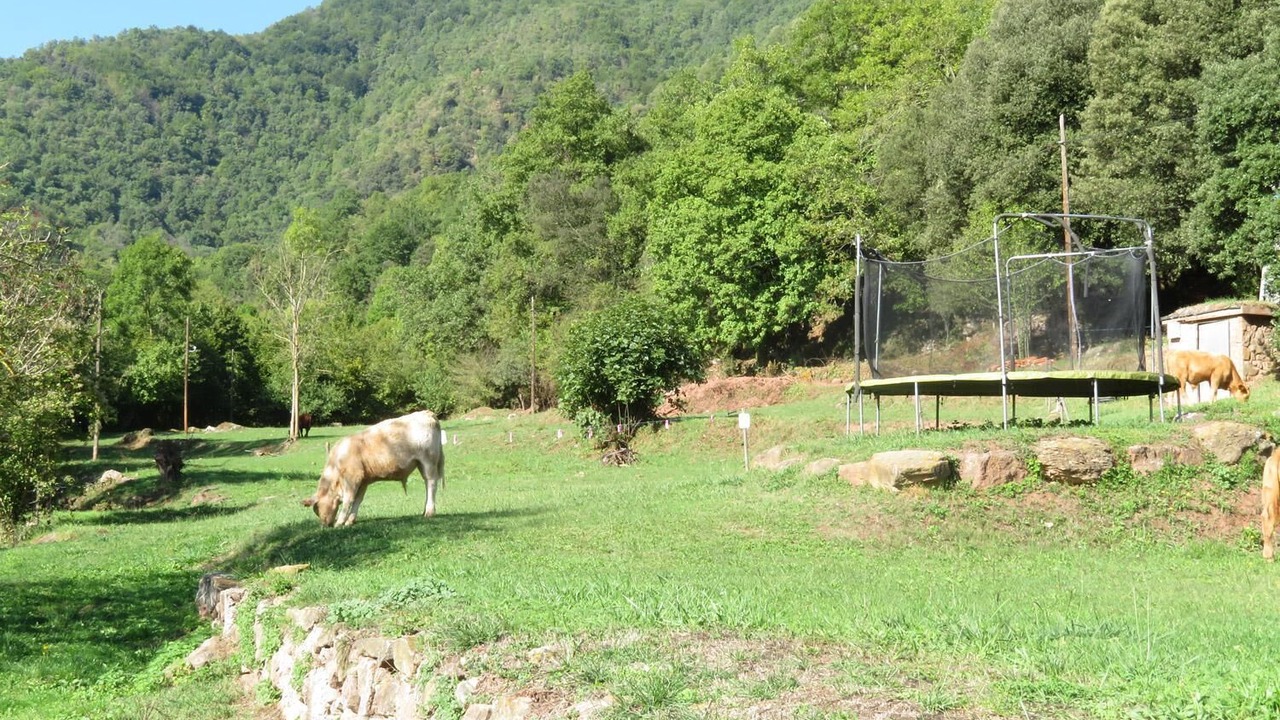 Photo of Outdoor in Riudaura