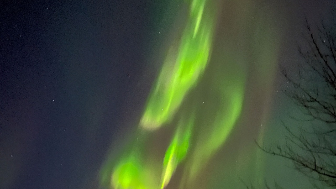 Photo of Others in Chugiak