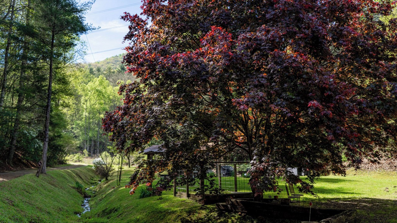 Photo of Outdoor in Franklin
