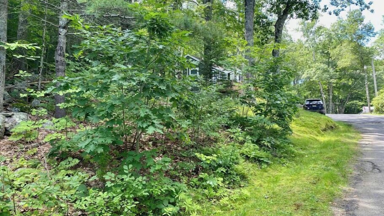 Photo of Outdoor in Edgecomb