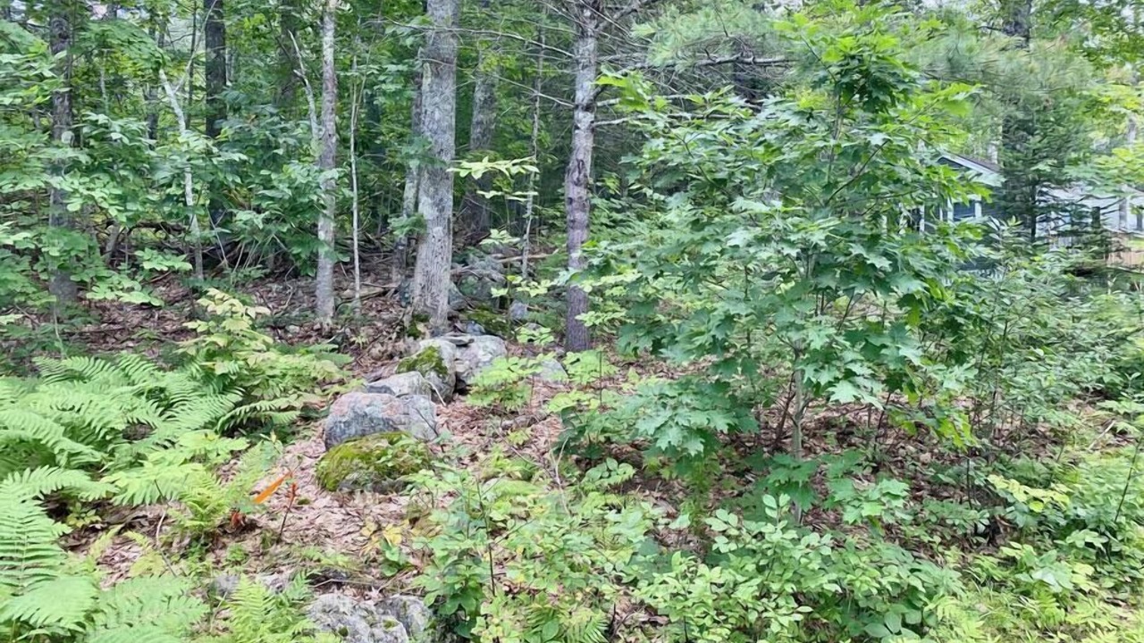 Photo of Outdoor in Edgecomb