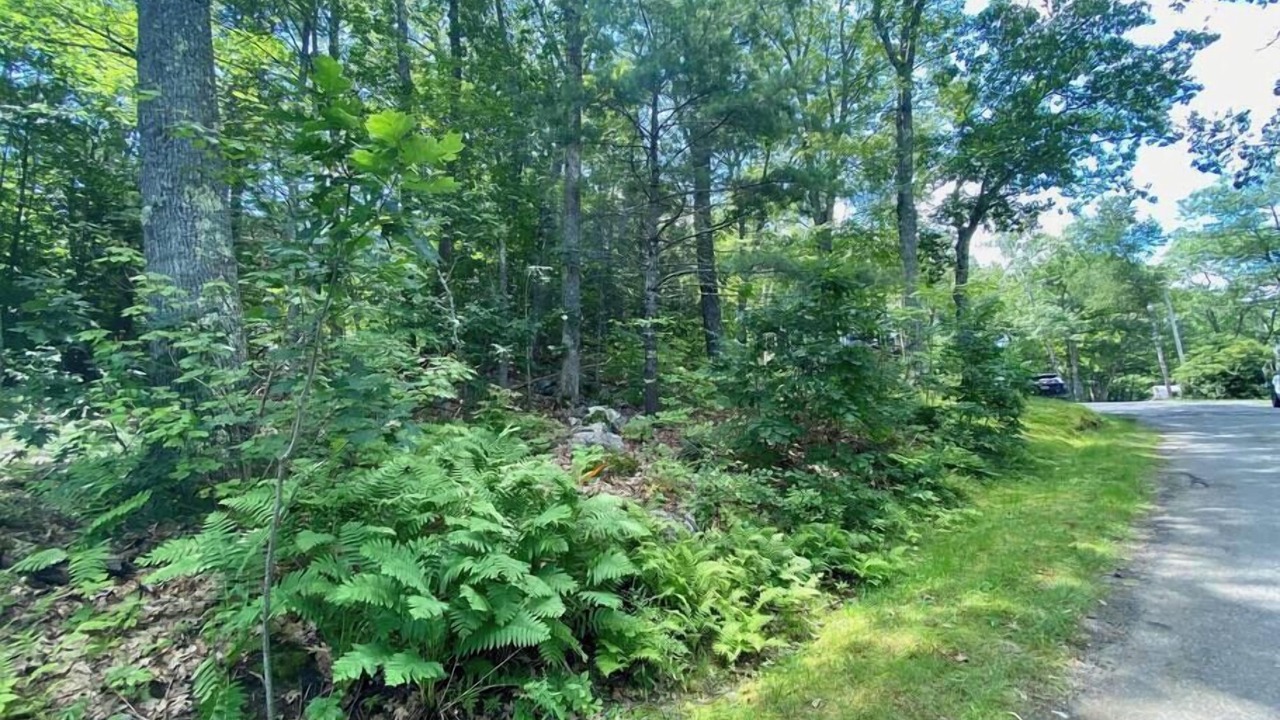 Photo of Outdoor in Edgecomb