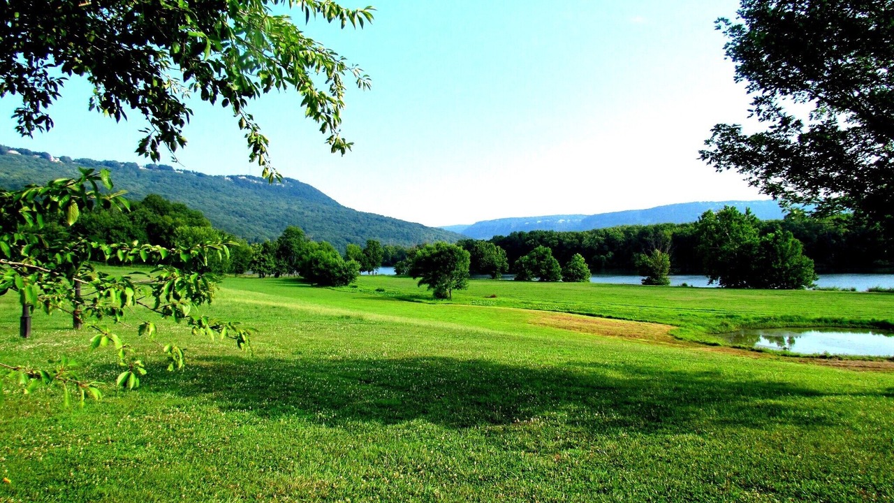 Photo of Outdoor in Lookout Valley Neighborhood Association