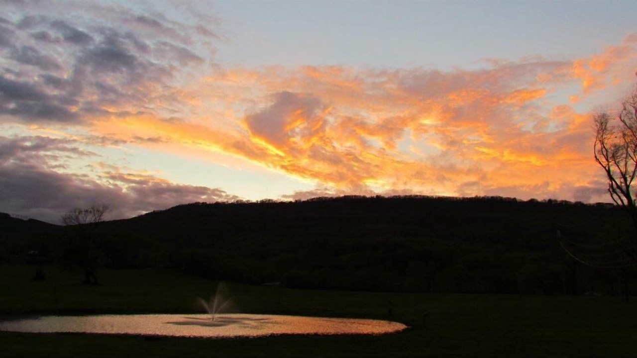 Photo of Others in Lookout Valley Neighborhood Association