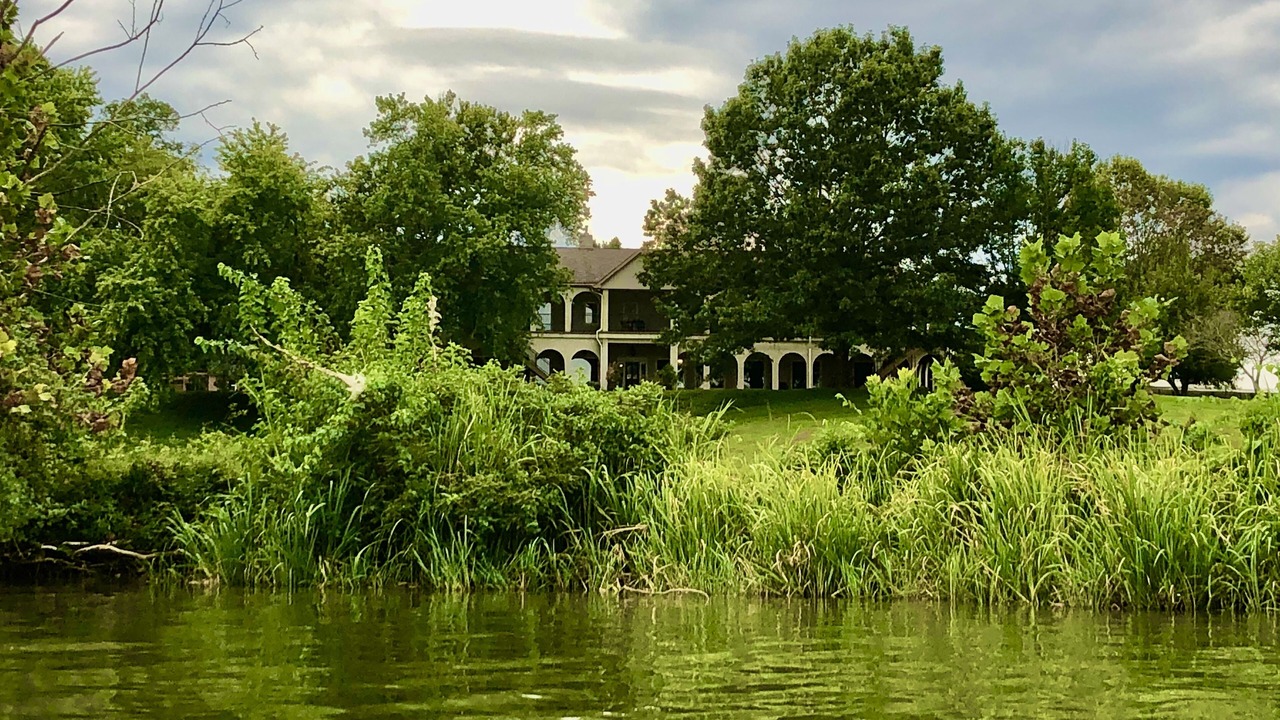 Photo of Outdoor in Lookout Valley Neighborhood Association