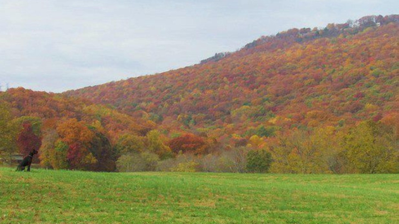 Photo of Others in Lookout Valley Neighborhood Association