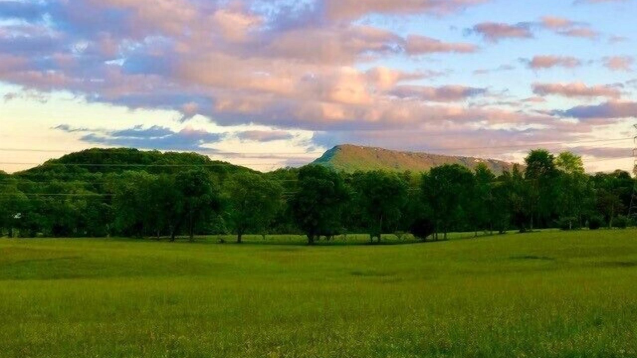 Photo of Others in Lookout Valley Neighborhood Association
