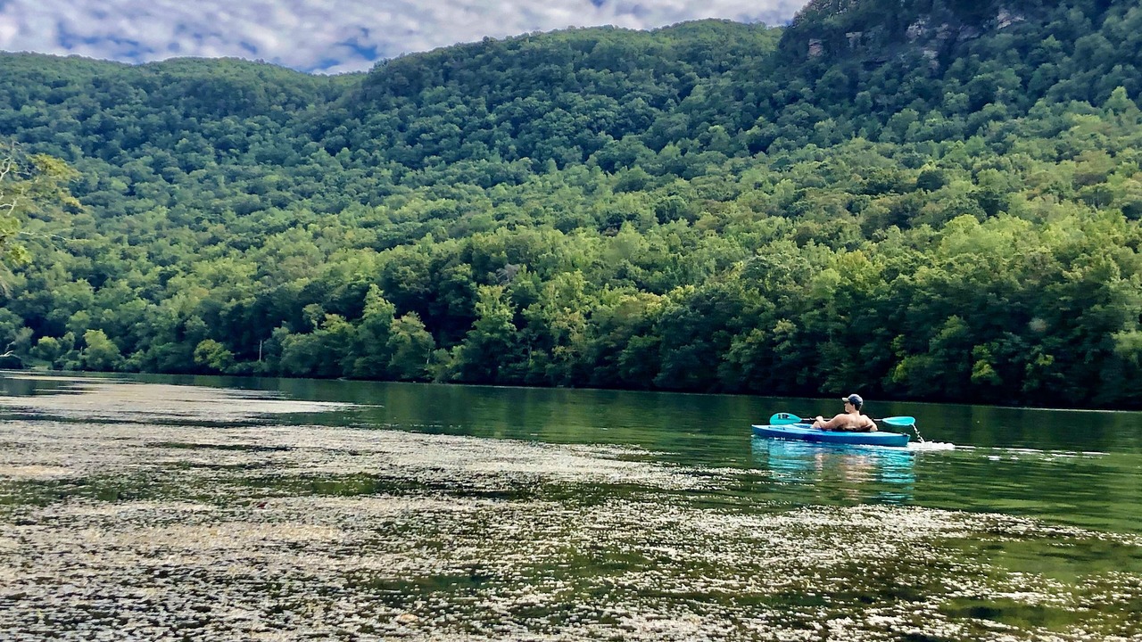 Photo of Others in Lookout Valley Neighborhood Association