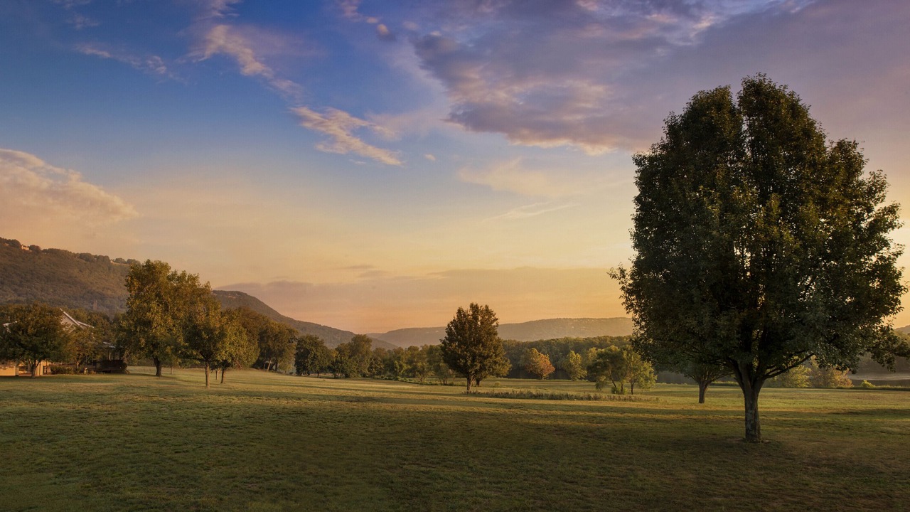Photo of Others in Lookout Valley Neighborhood Association
