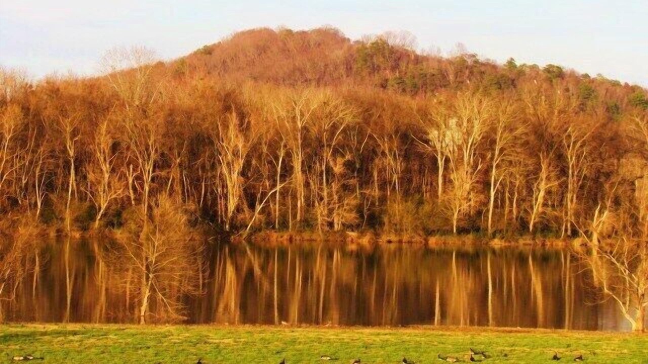 Photo of Others in Lookout Valley Neighborhood Association