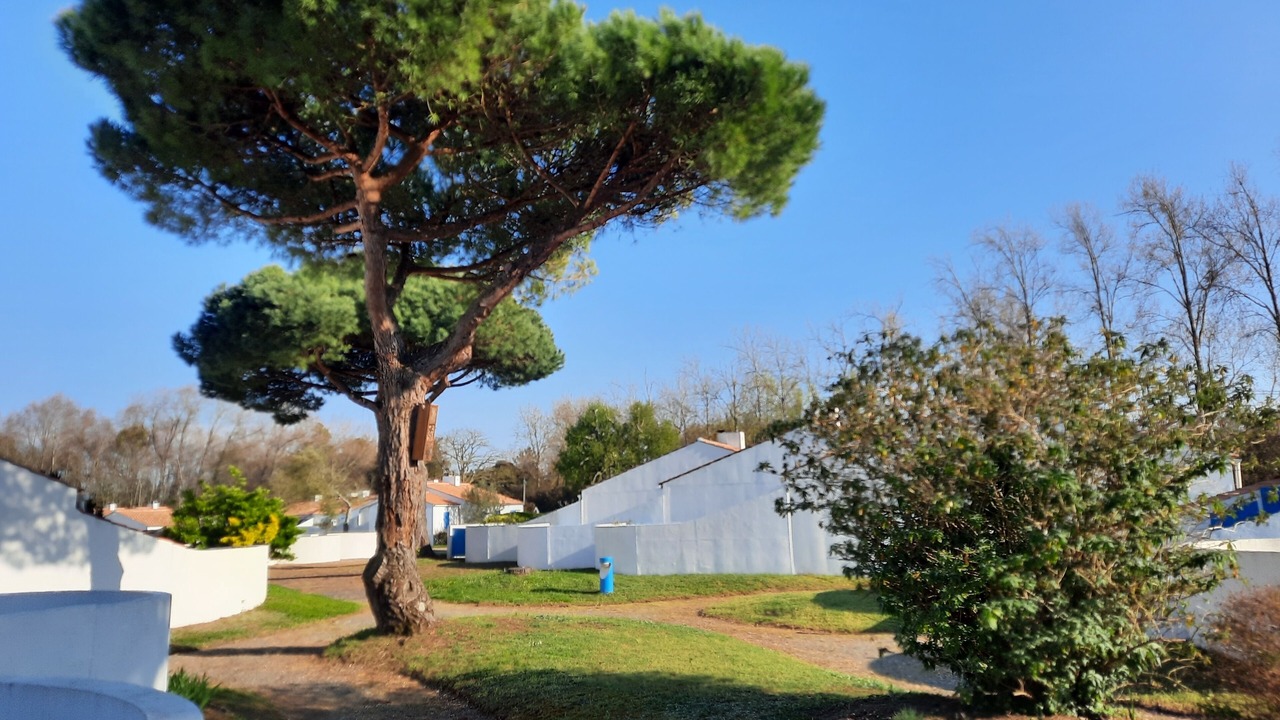 Photo of Outdoor in Saint-Jean-de-Monts