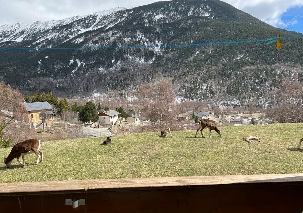 Photo of Outdoor in Porte-Puymorens