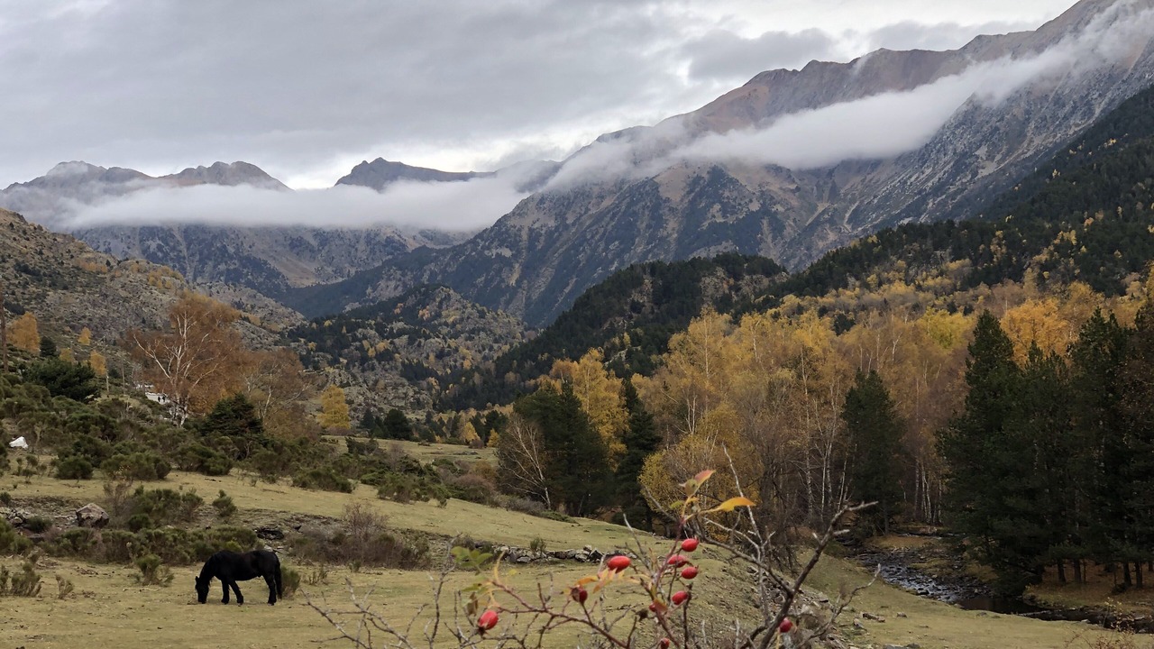 Photo of Others in Porte-Puymorens