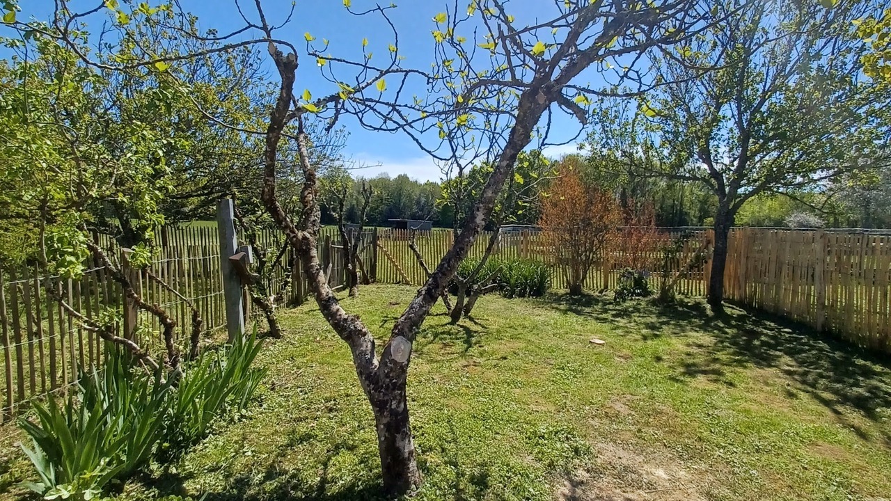 Photo of Outdoor in Le Bourdeix