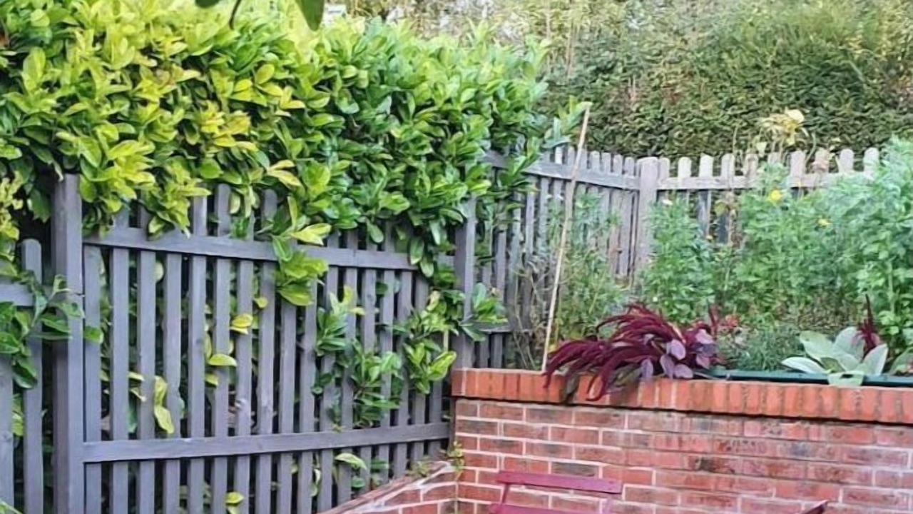 Photo of Outdoor in Dannemarie