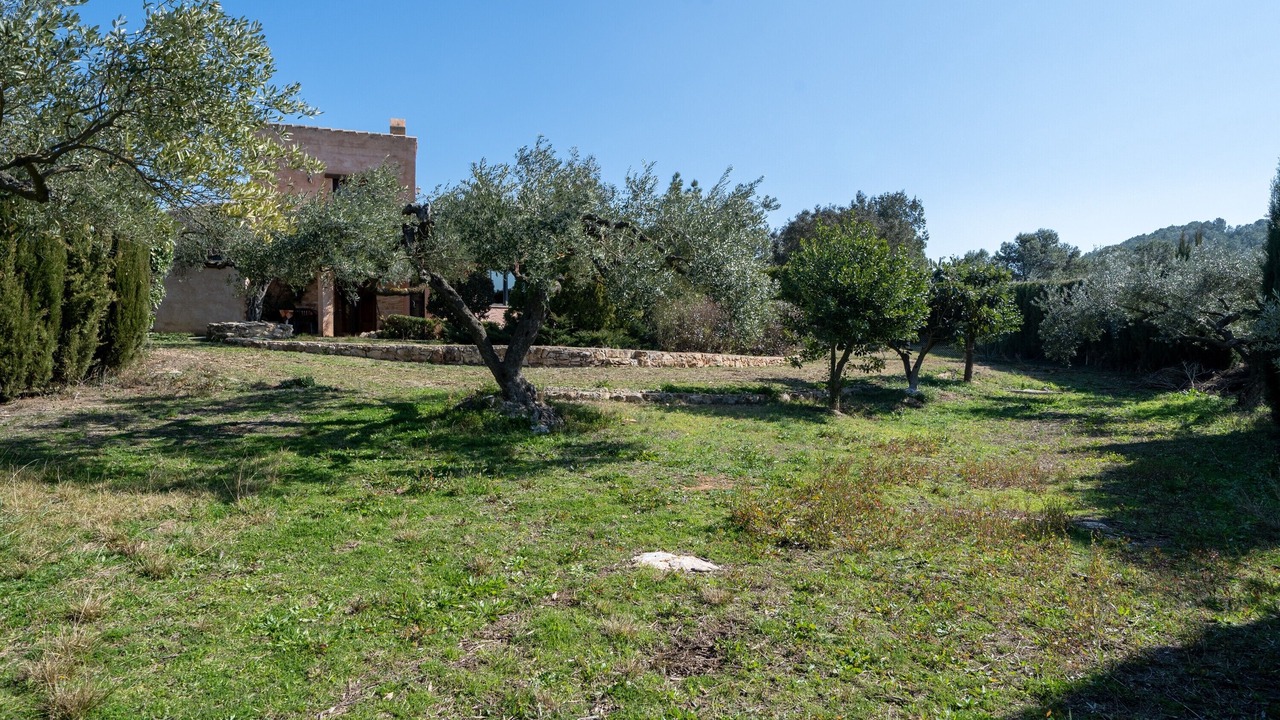 Photo of Outdoor in El Perello