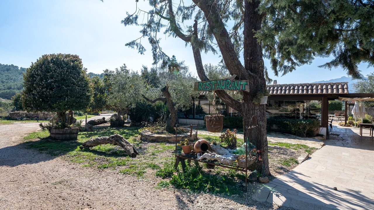 Photo of Outdoor in El Perello