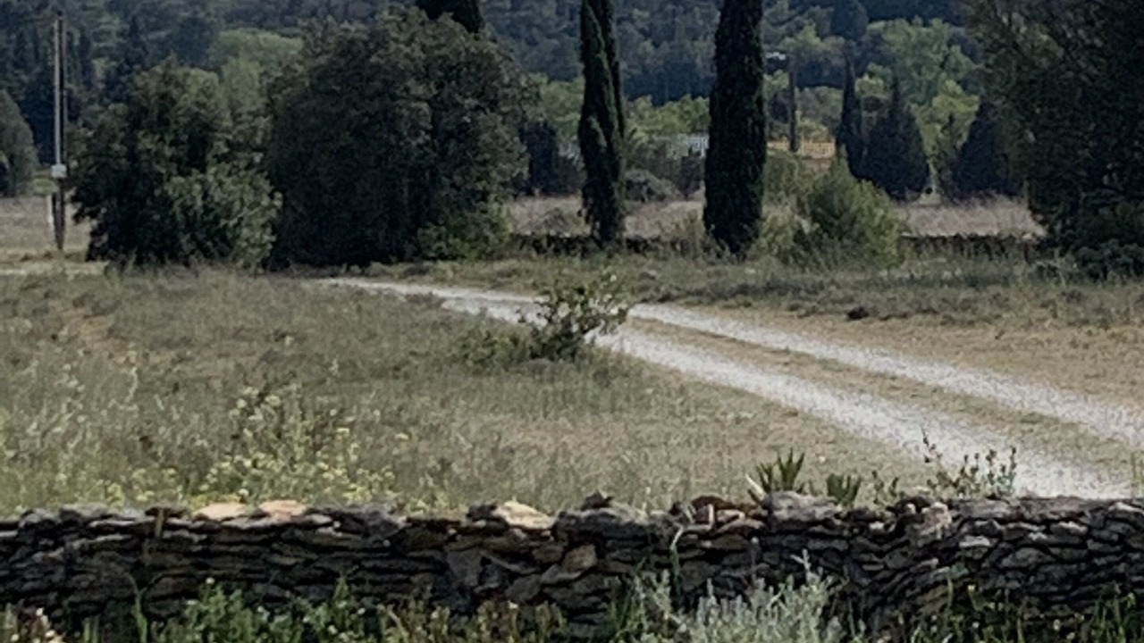 Photo of Outdoor in Moussoulens