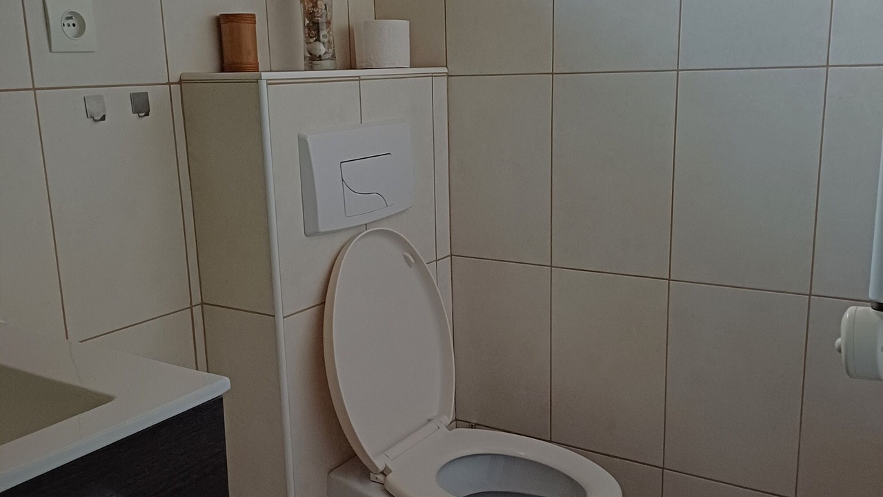 Photo of Bathroom in Montescot