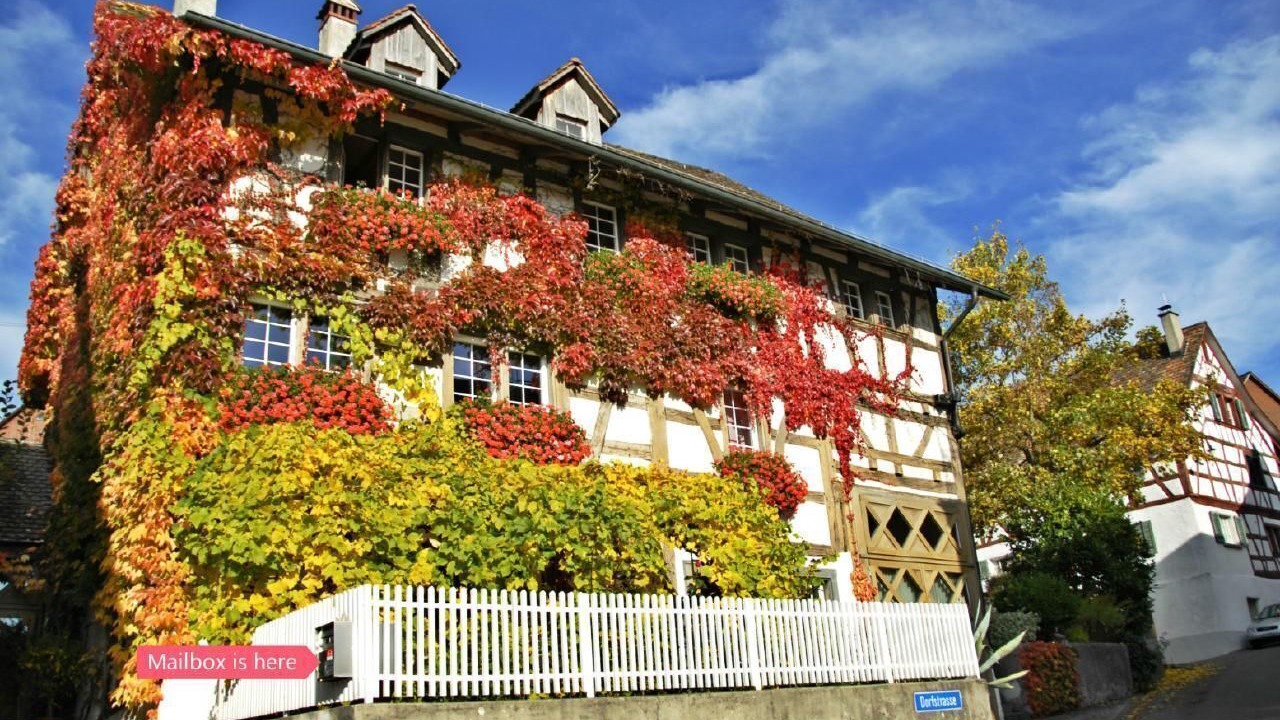 Photo of Others in Andelfingen District