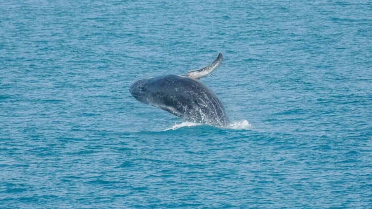 Photo of Others in Middleton