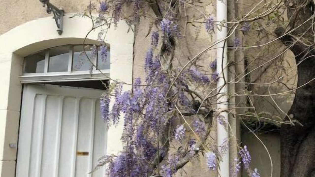 Photo of Outdoor in Cuxac-Cabardes