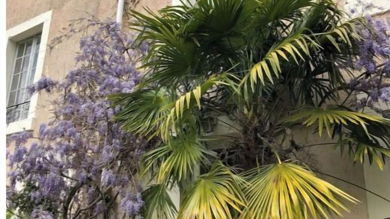 Photo of Outdoor in Cuxac-Cabardes