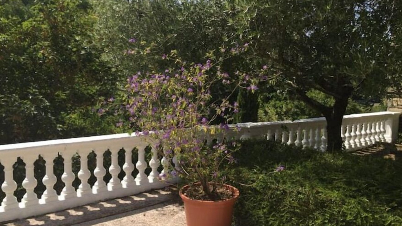 Photo of Outdoor in Cuxac-Cabardes