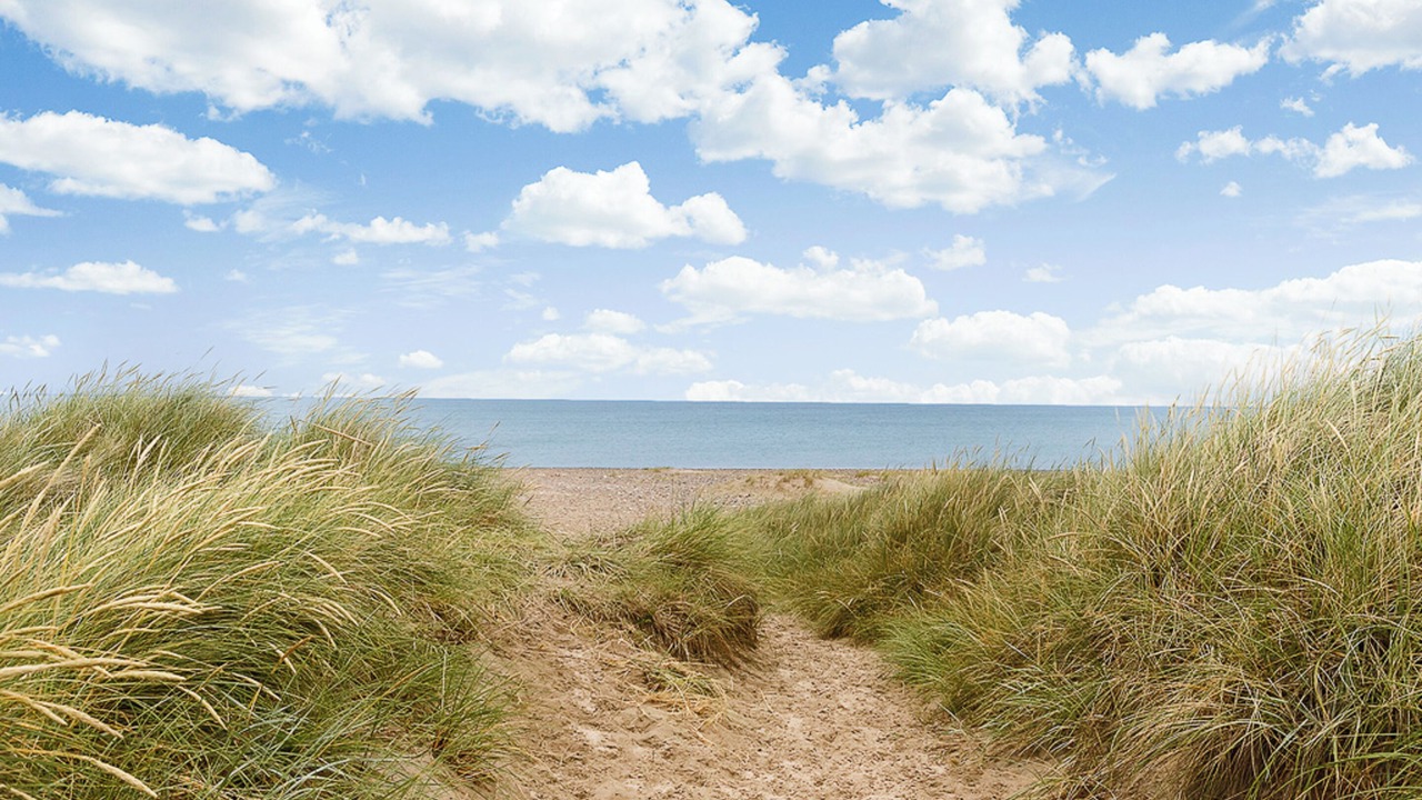 Photo of Others in Fjerritslev